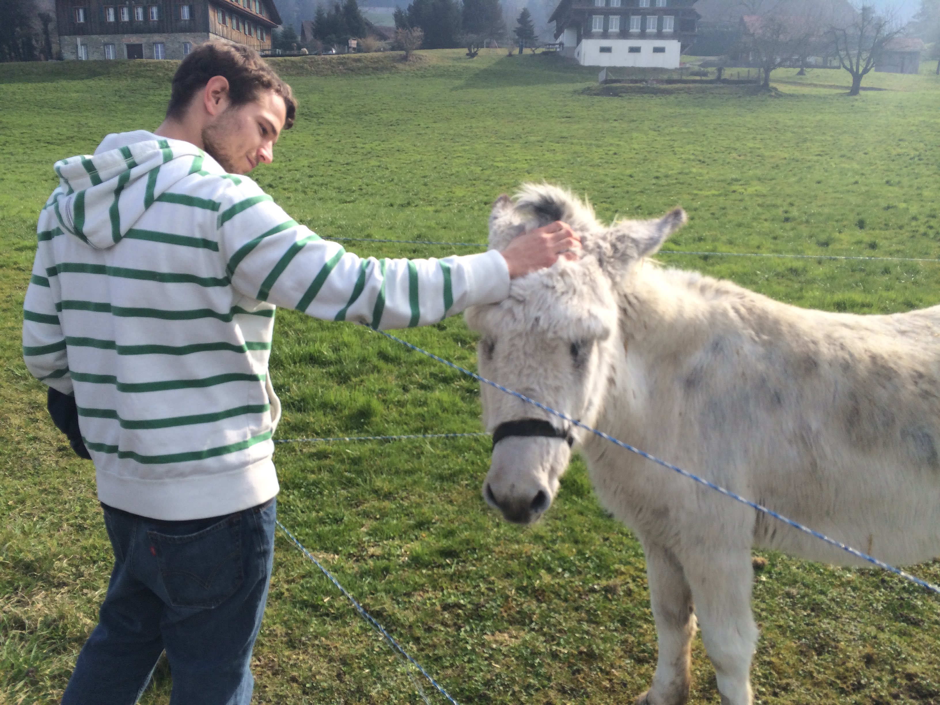 Early Ethereum team photo